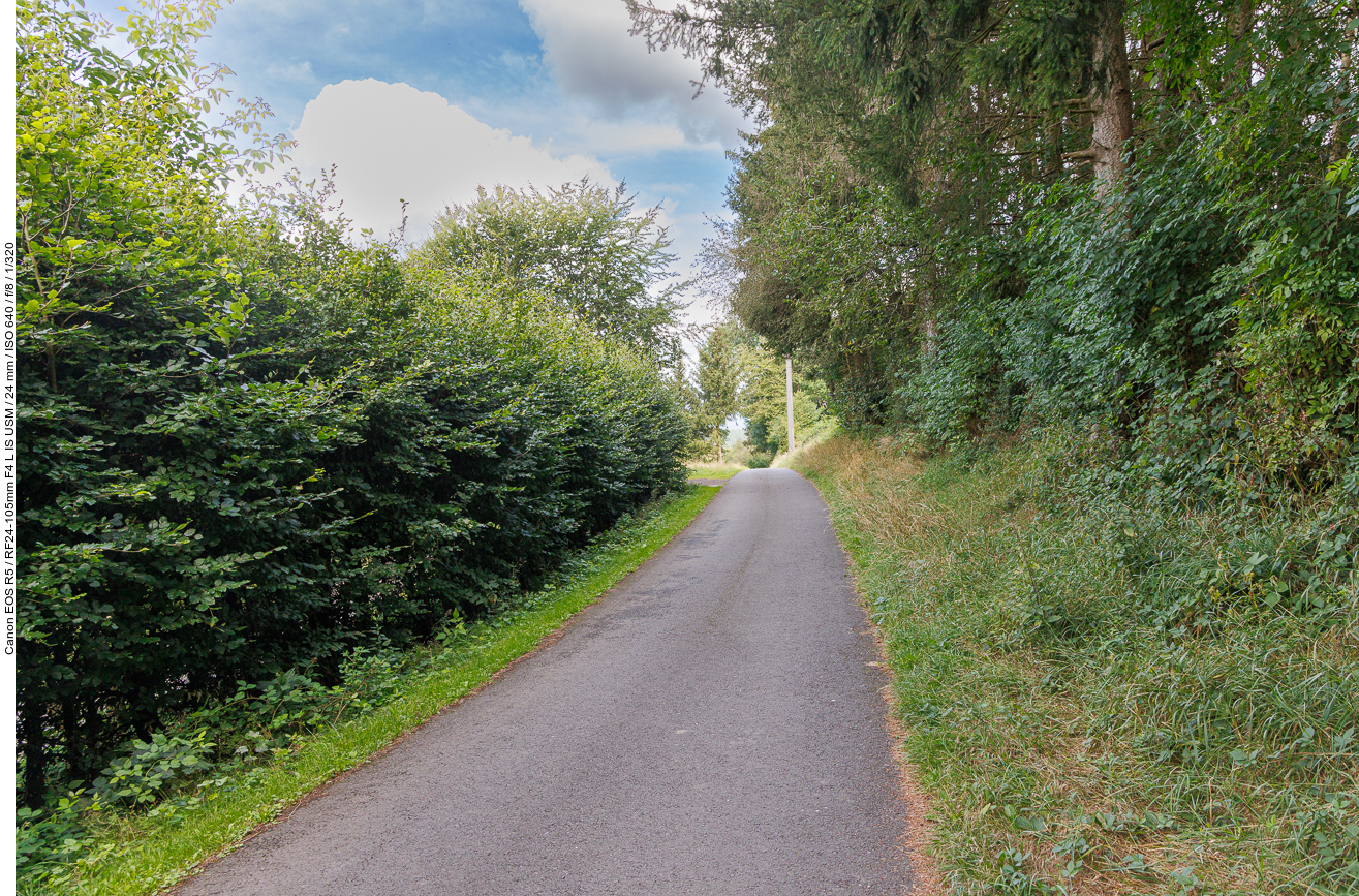 Am Anfang des Weges dominiert der Asphaltboden