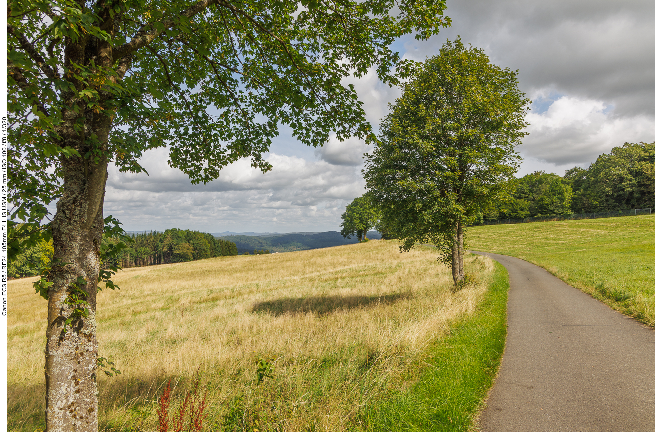 ... entlang des Weges