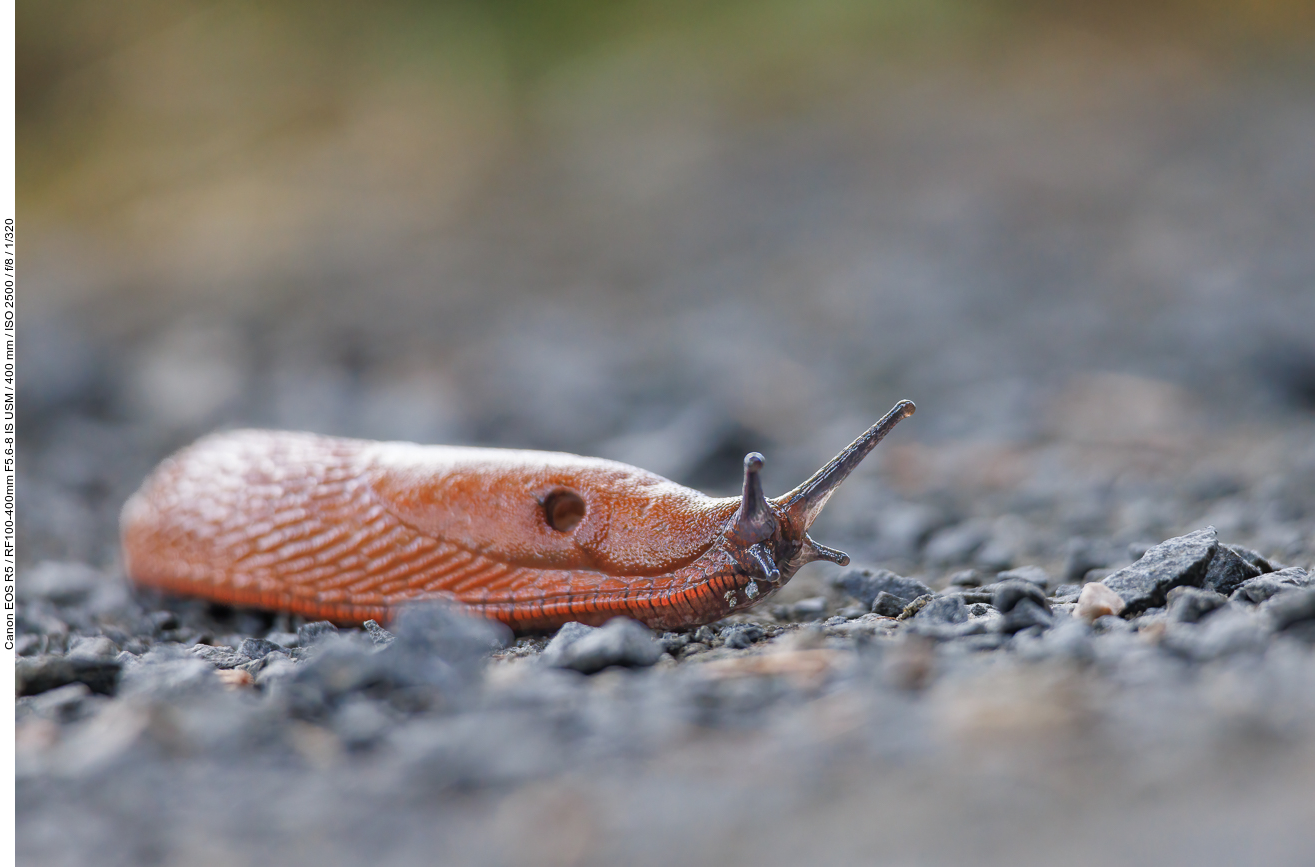 An der Rennstrecke ;-)