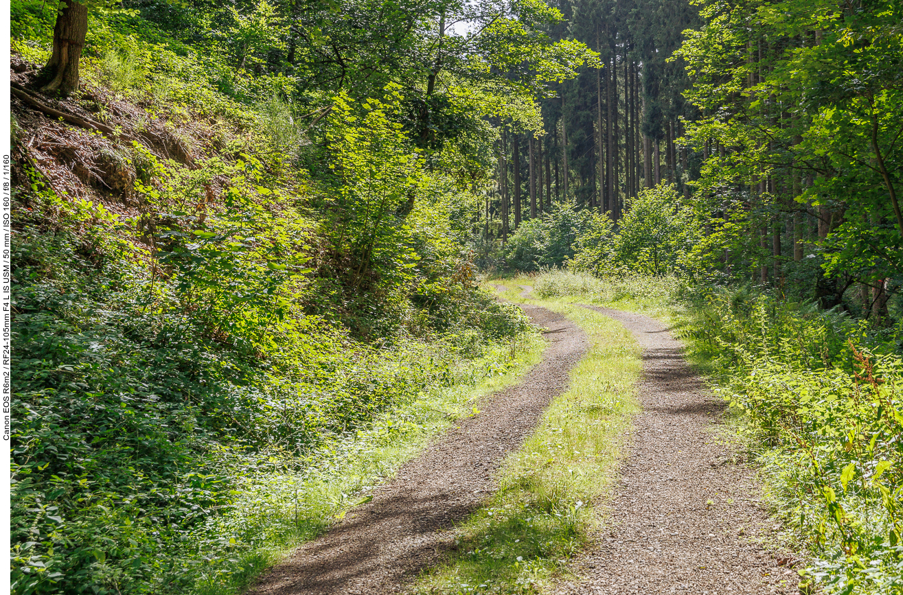 ... und auf einem geschotterten Weg wieder hinauf