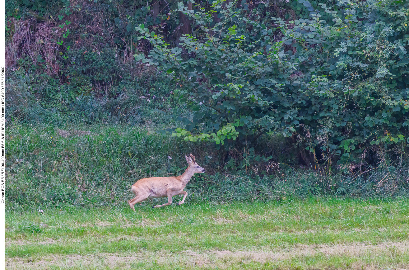 ... und schon wieder gleich weg