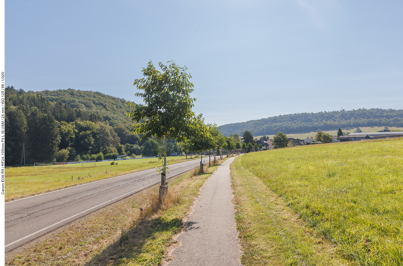 Sonniger Weg neben der Straße