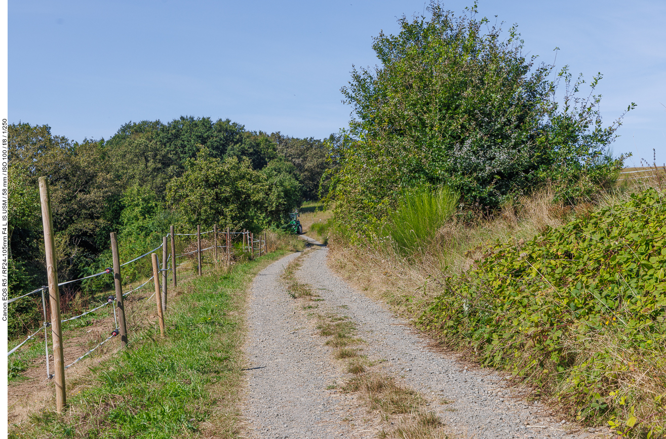 Feldweg auf den Hügel hinauf