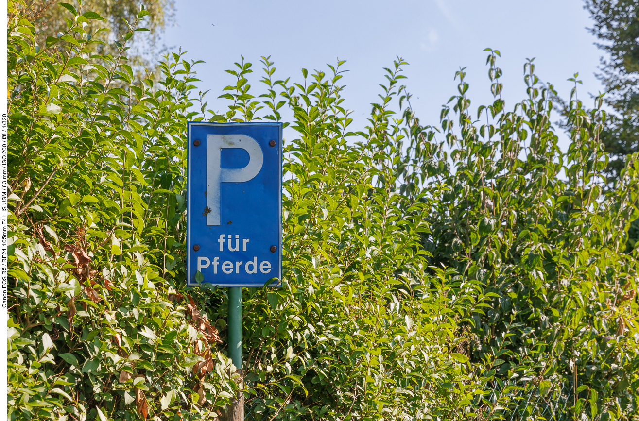 ... Reiter können ihre Zossen hier parken ;-) ...
