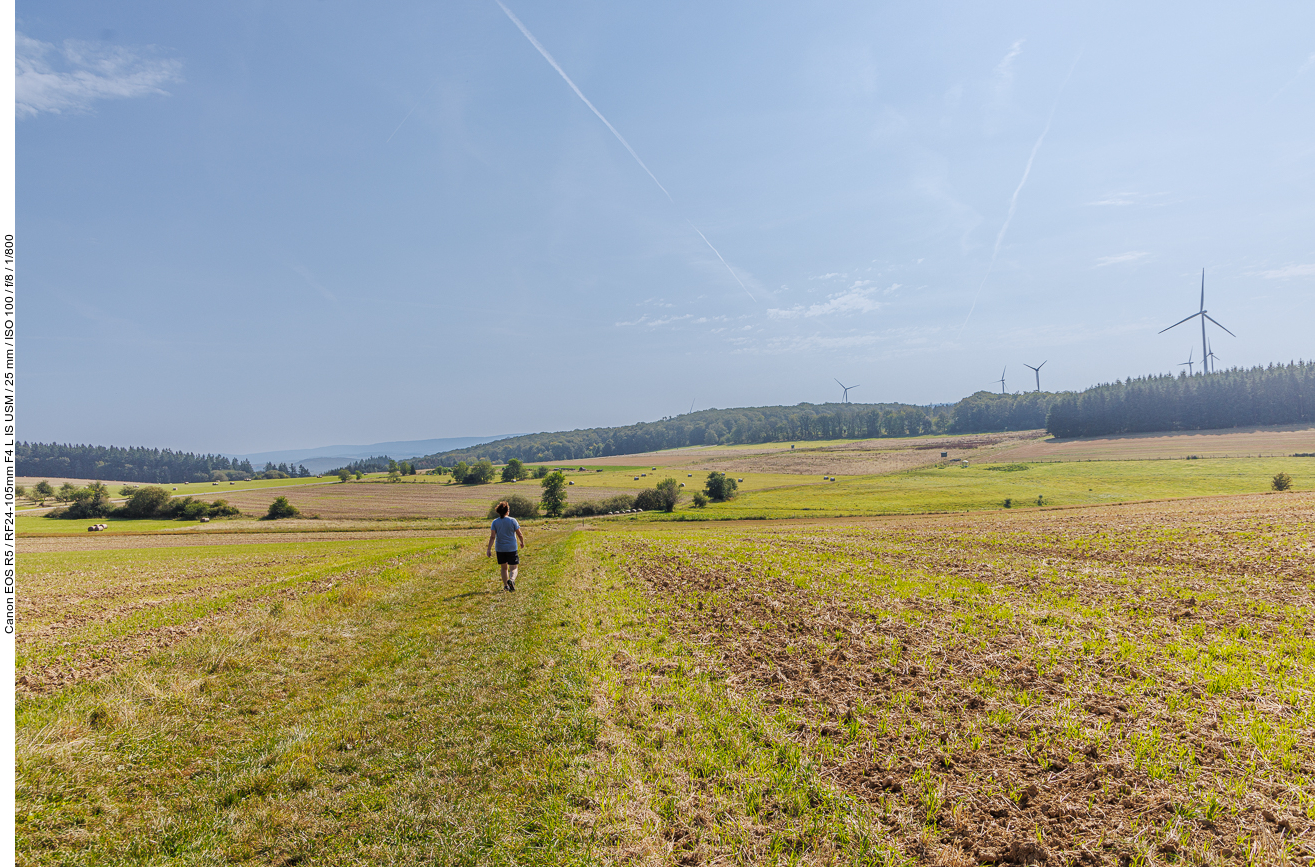 Auf einem Wiesenweg geht es wieder bergab