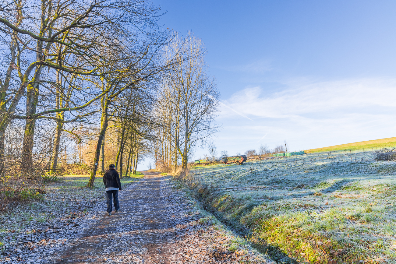 Im Schatten gibt es überall noch Raureif