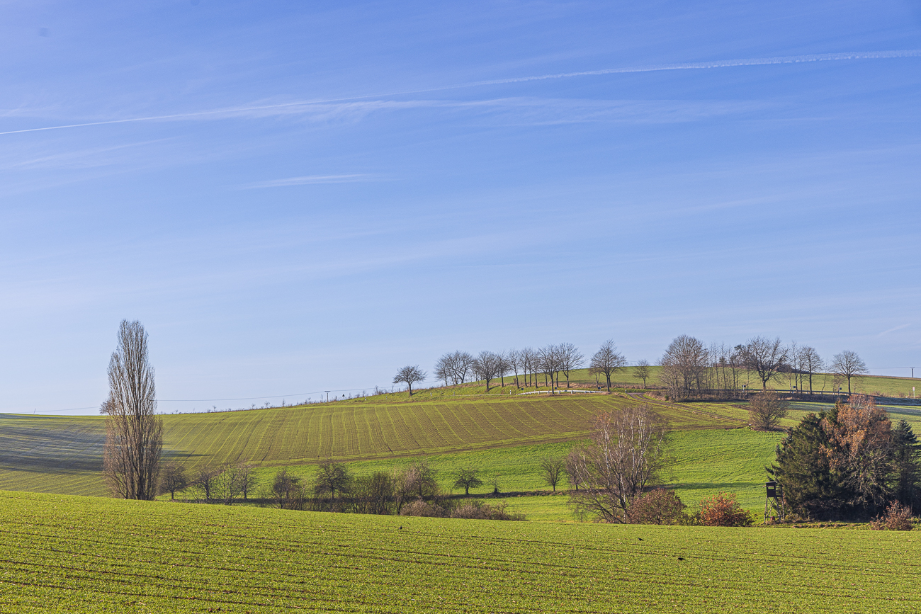 Fast wie in der Toskana