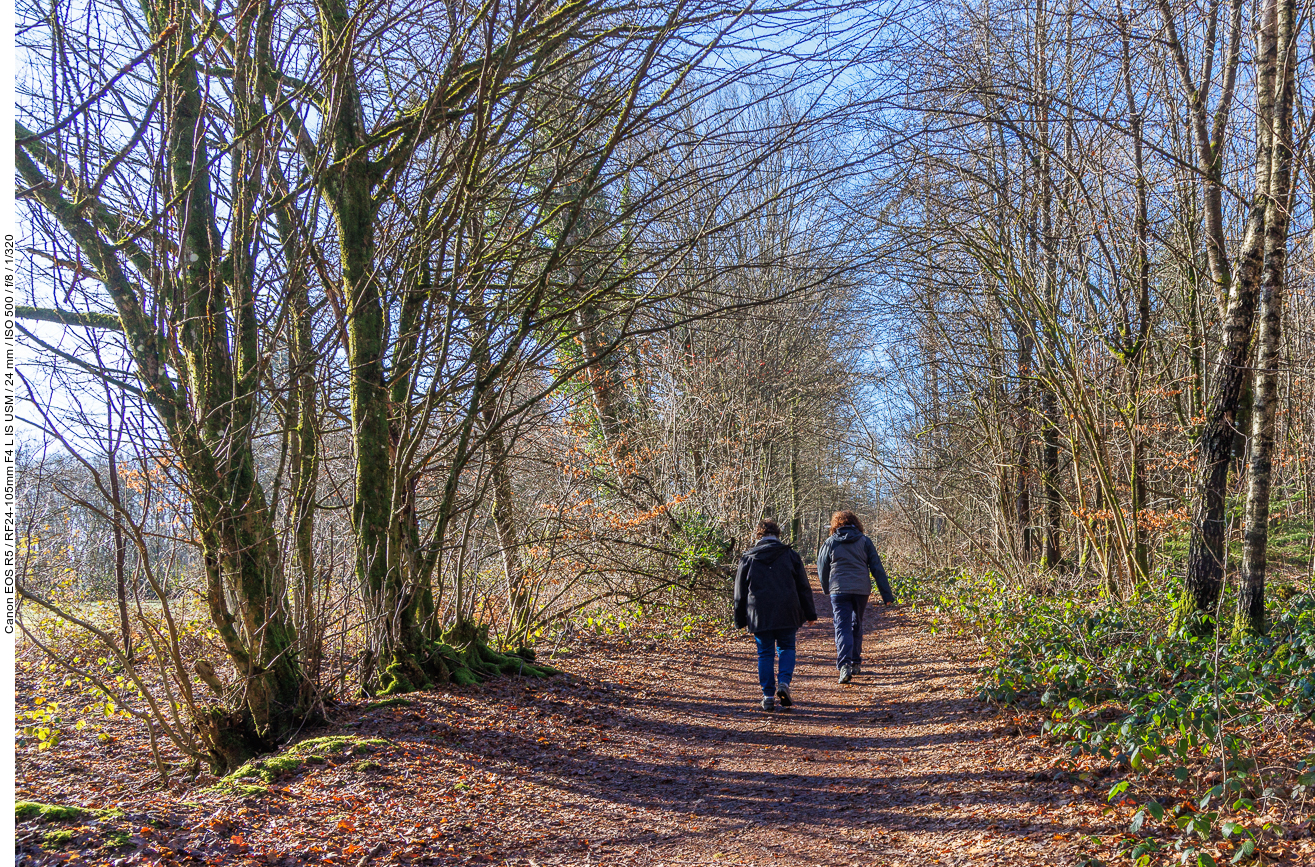 Auf dem Wanderweg