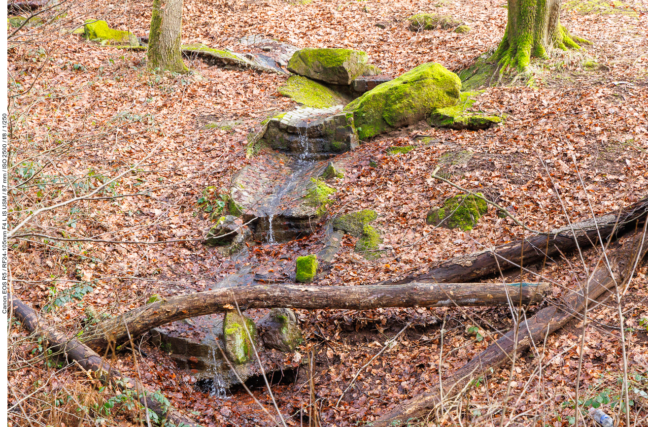 Kleiner Bach aus einer Quelle