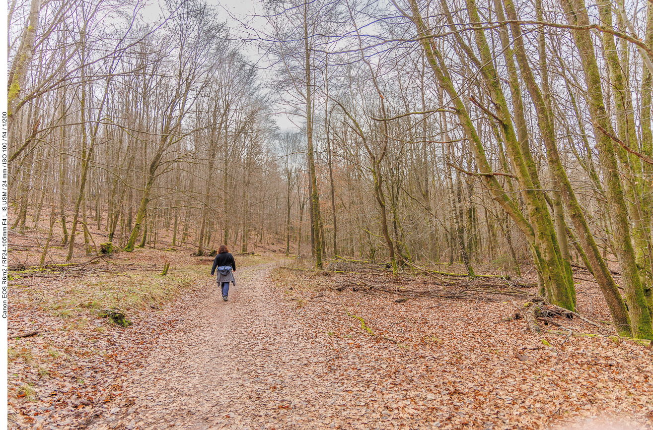 Auf dem Rückweg zum Parkplatz