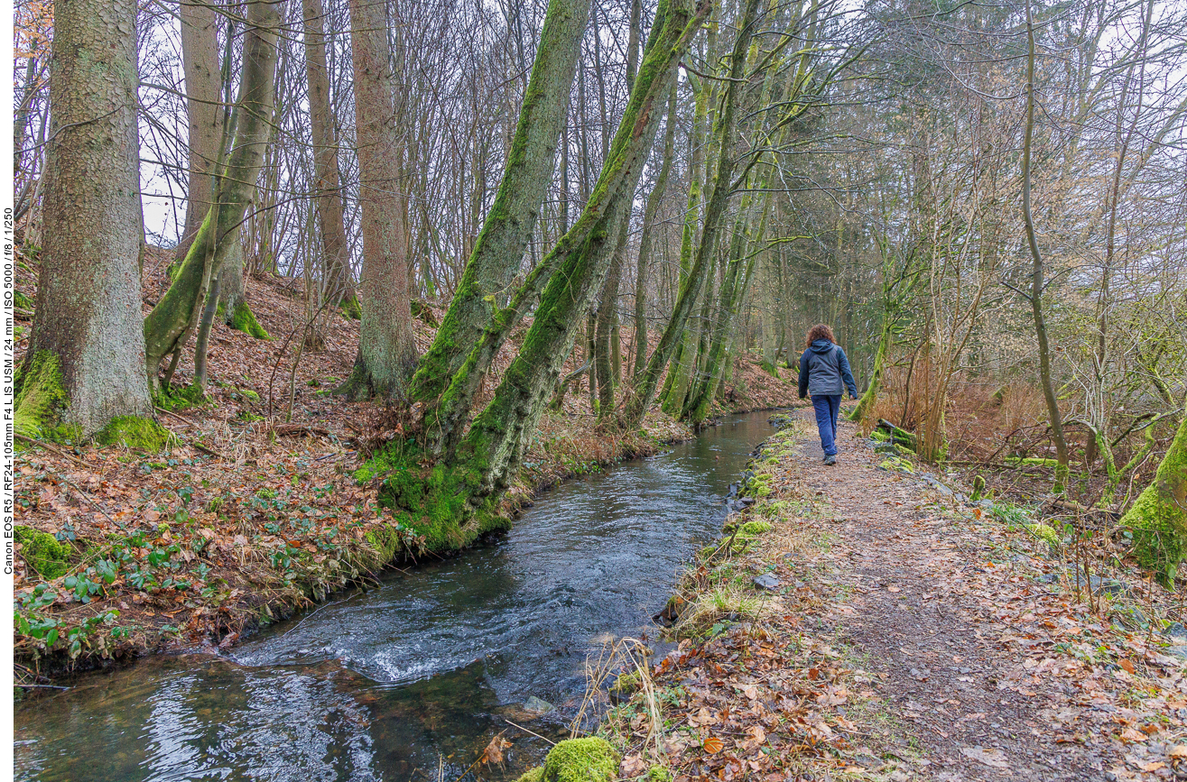 Weg am Primskanal