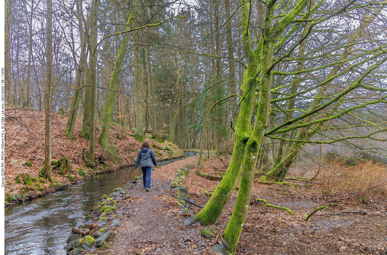 Weg am Primskanal