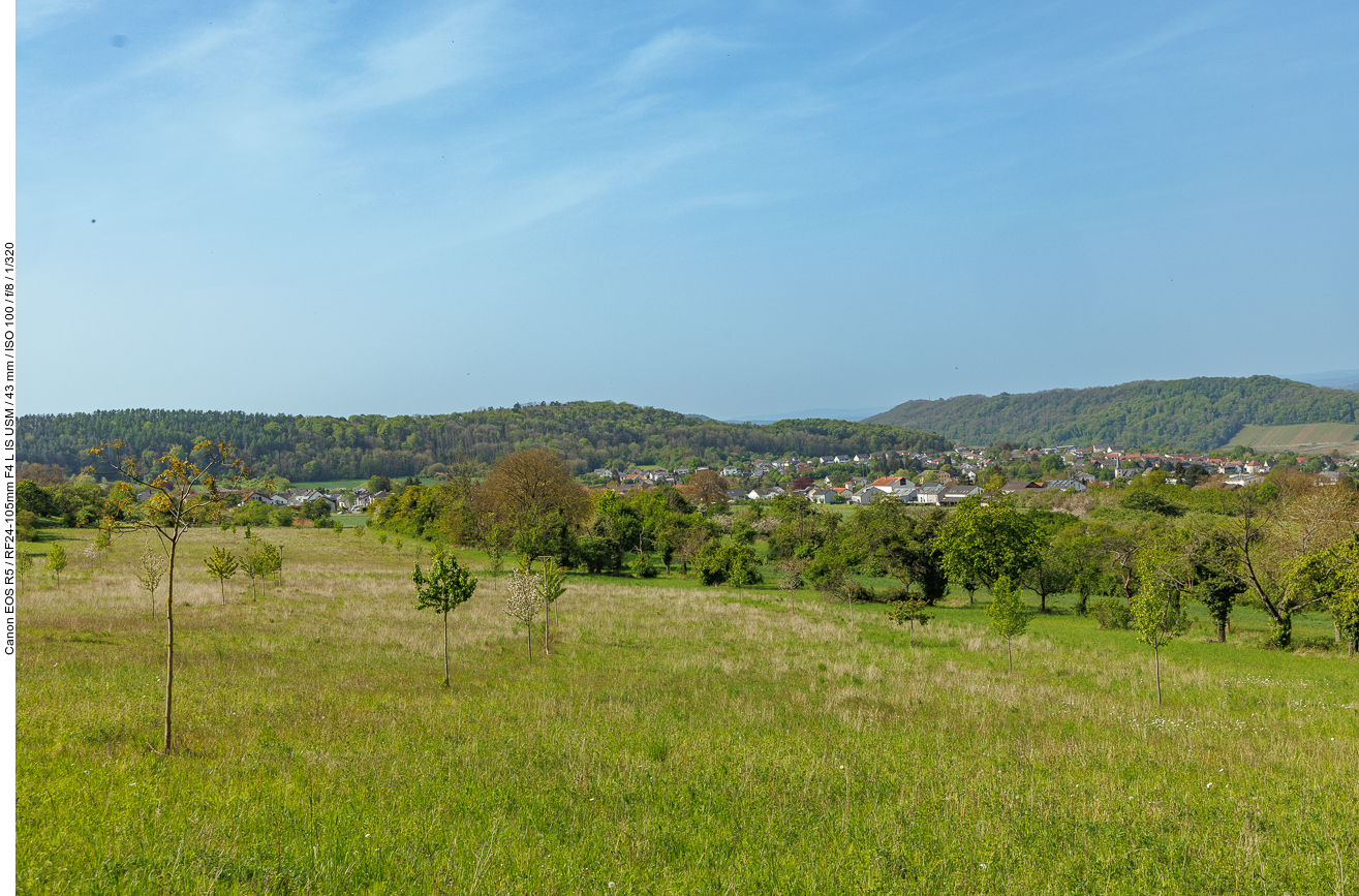 ... wandern an Streuobstwiesen vorbei ...