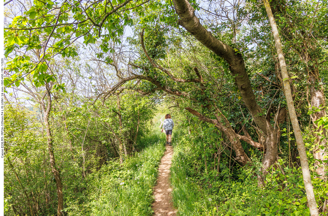Schmaler Pfad am Hang