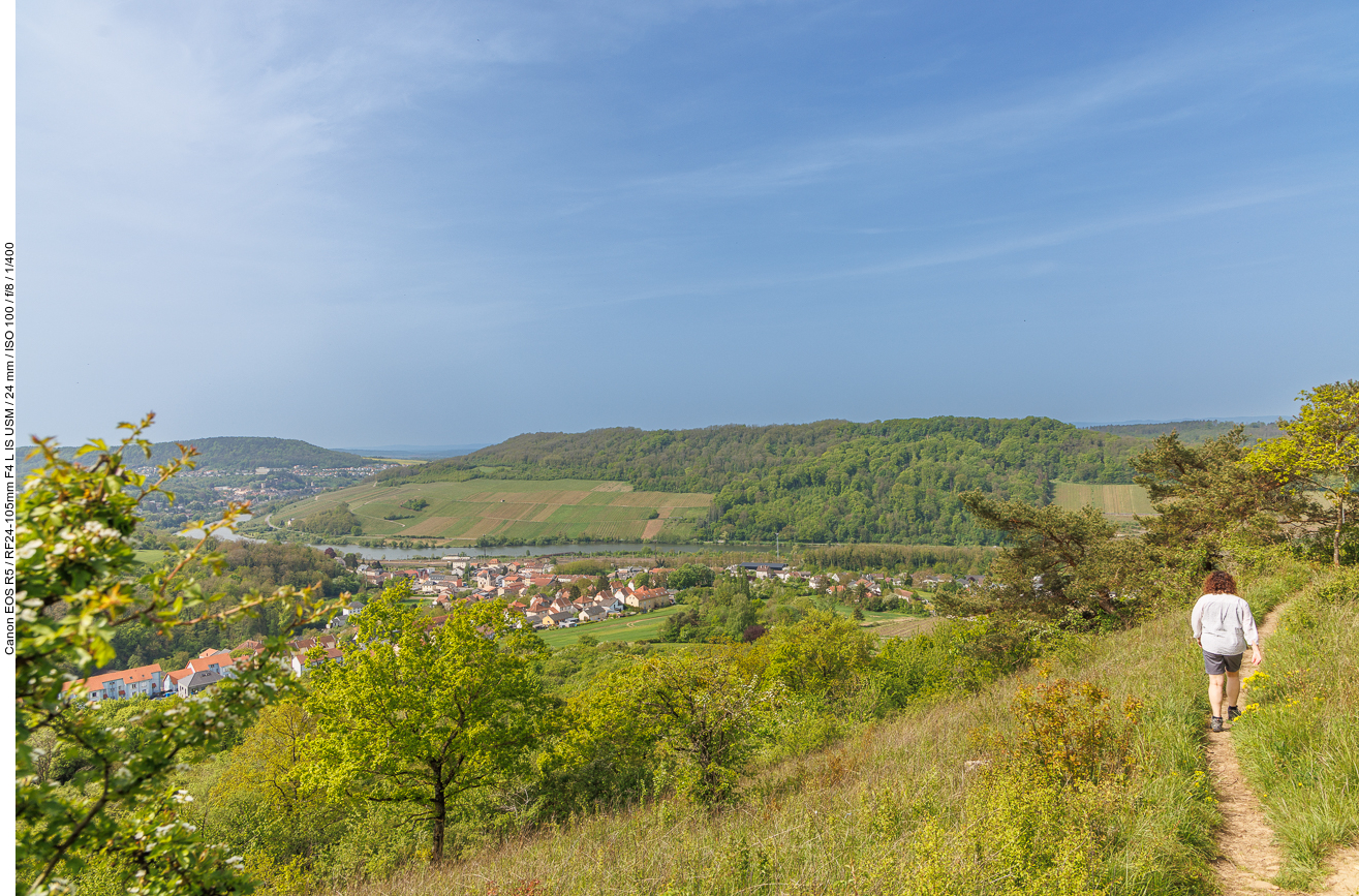 Wieder gibt der Wald den Blick in Richtung Mosel und Luxembourg frei