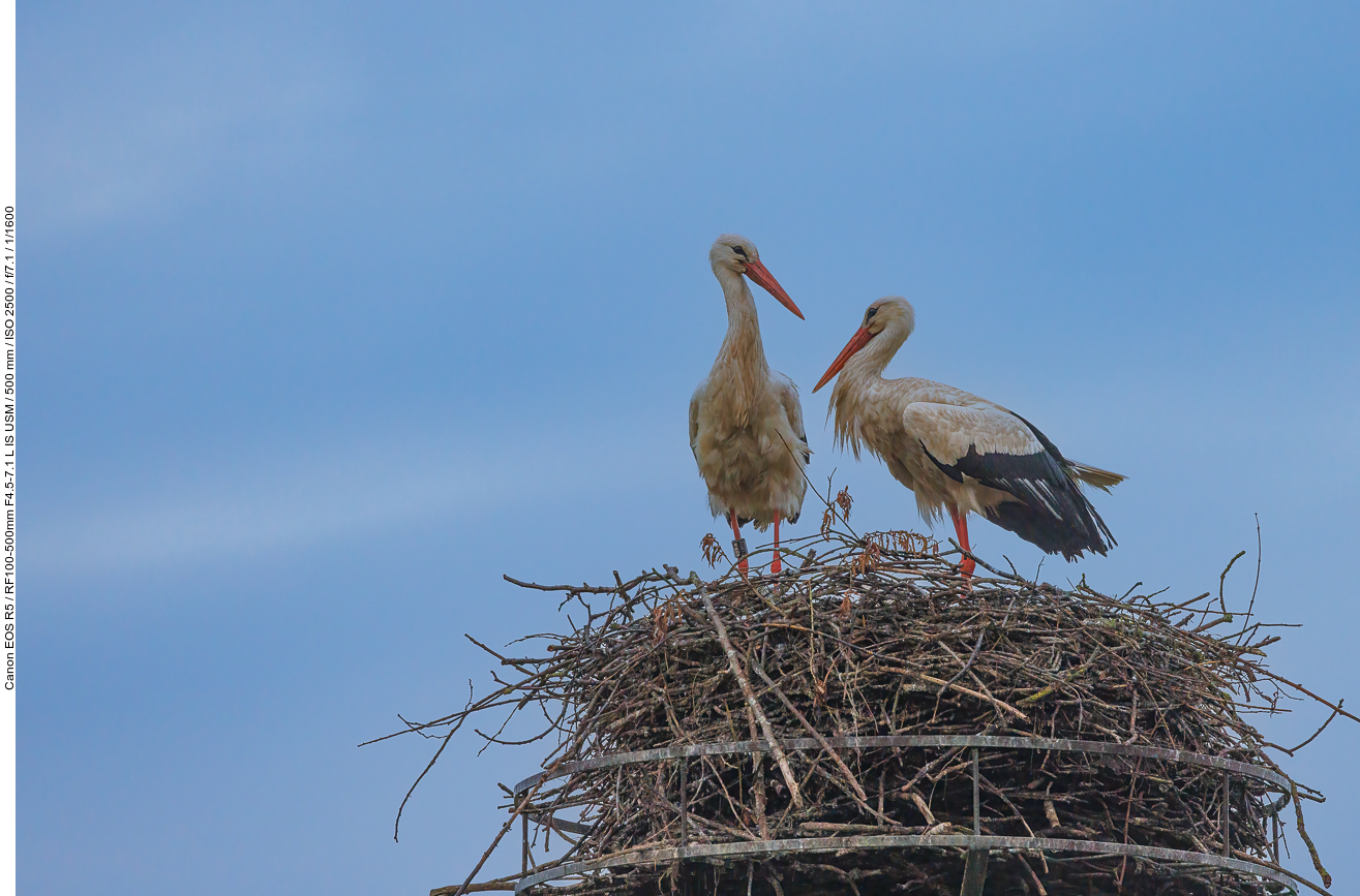 Das freut auch die Partnerin