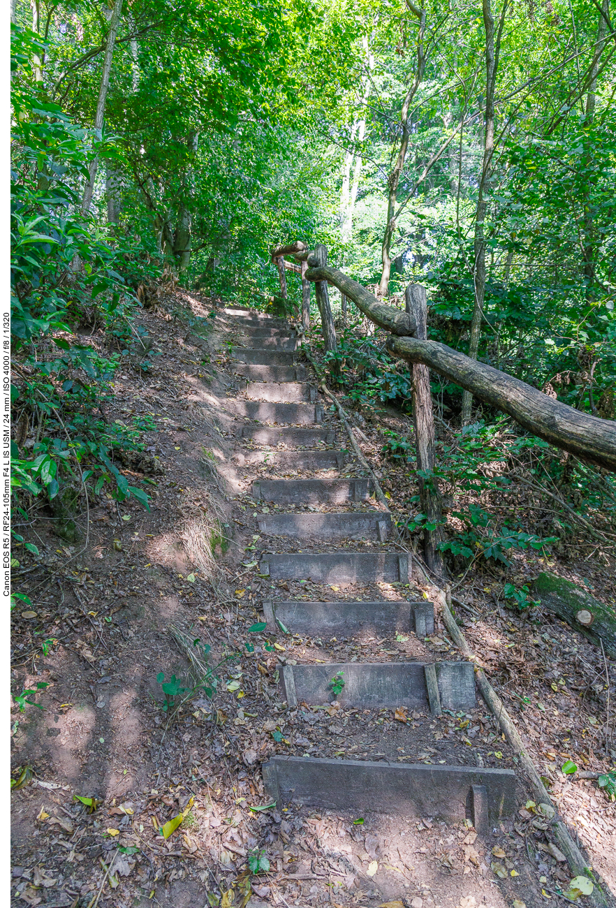 Gleich zu Beginn geht es steil bergauf