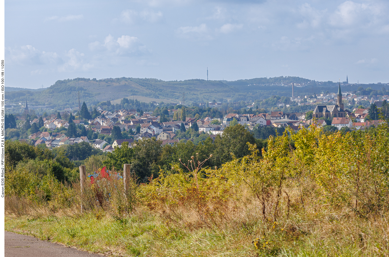 Blick auf Schiffweiler