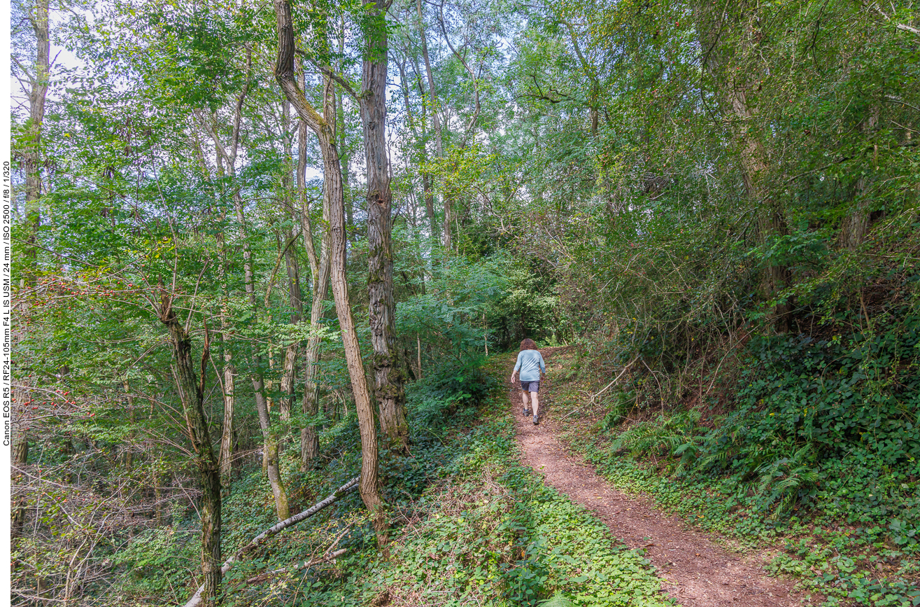 Ab Piesbach geht es auf schmalen Pfaden weiter
