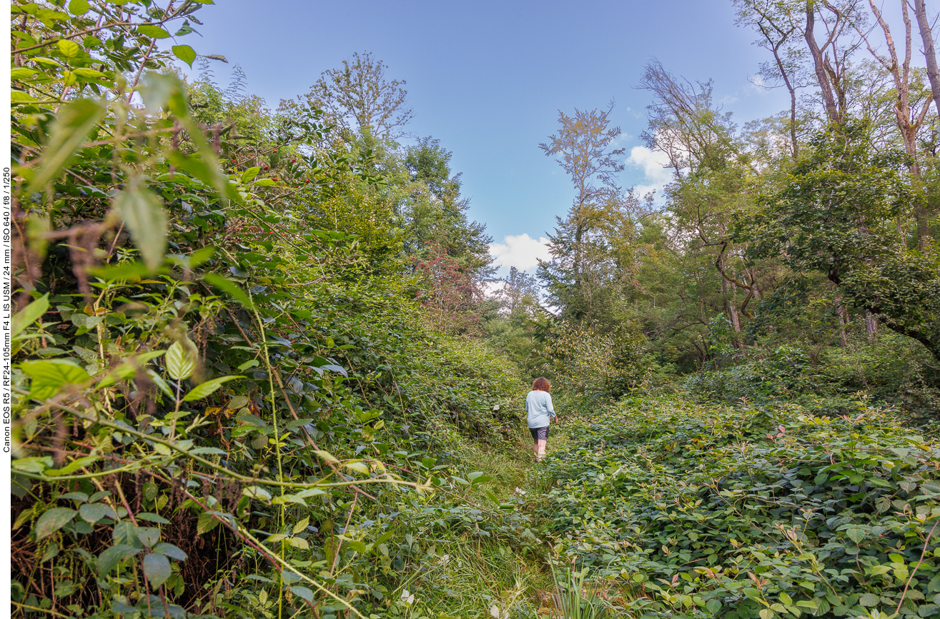 Zwischen Stacheln und Brennesseln währen lange Hosen besser gewesen