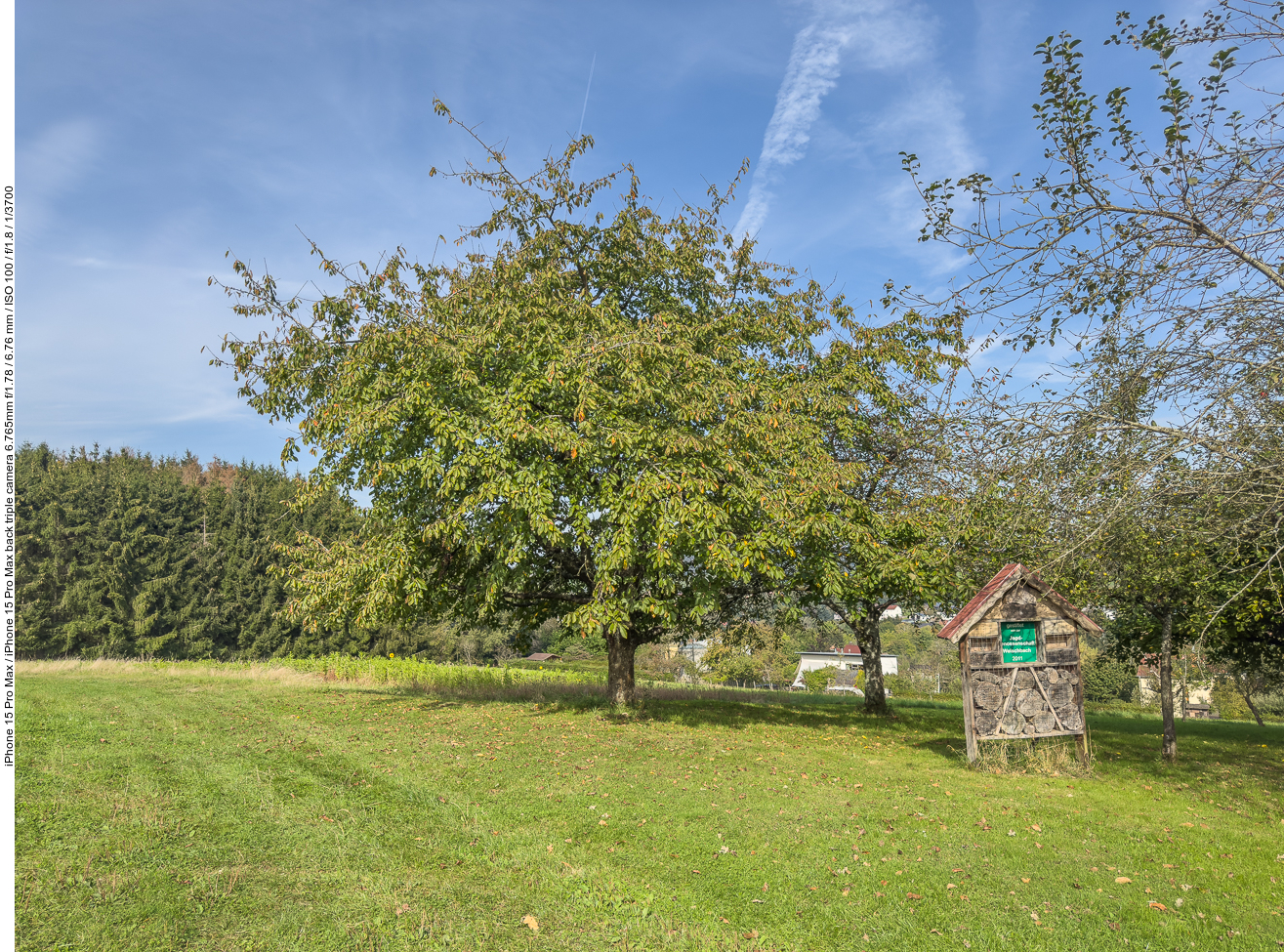 Kirschbaum und Insektenhotel