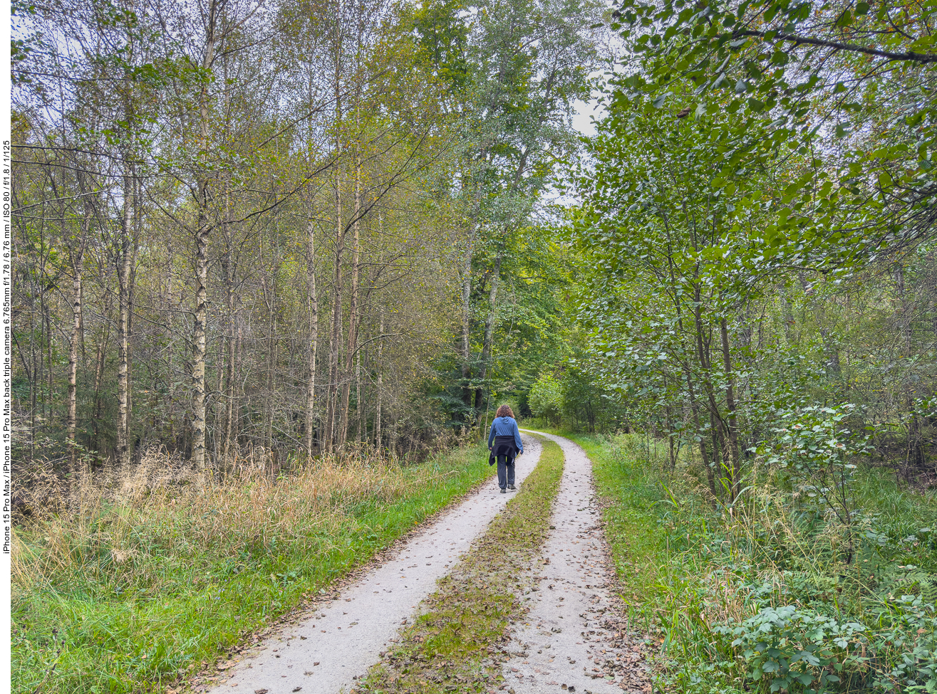 Weg durch das Grün