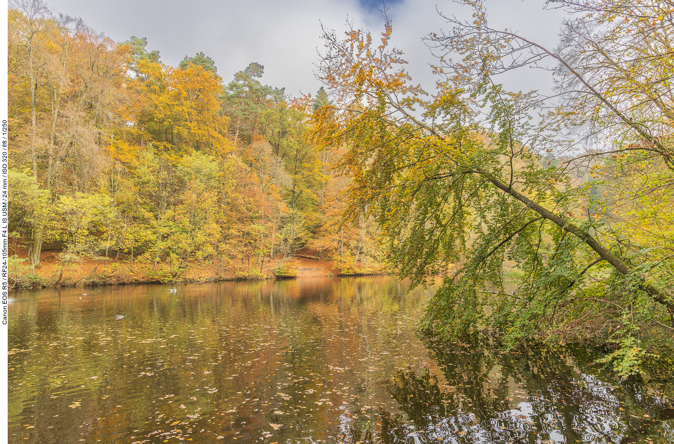 Weiher im Herbstwald