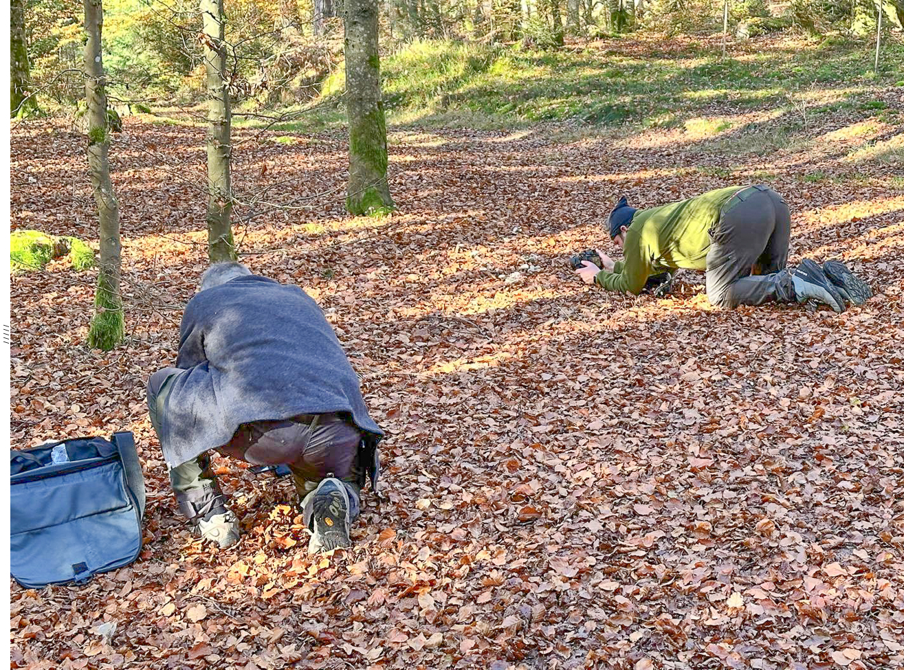 Auf der Jagd nach den Pilzen ;-)