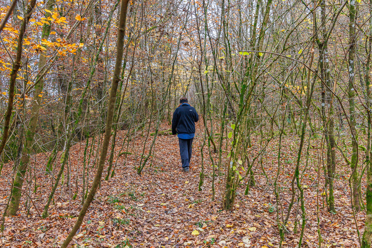 ... wird hier noch schmaler