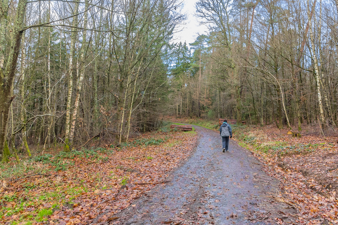 Los geht's bei feuchtkaltem Wetter
