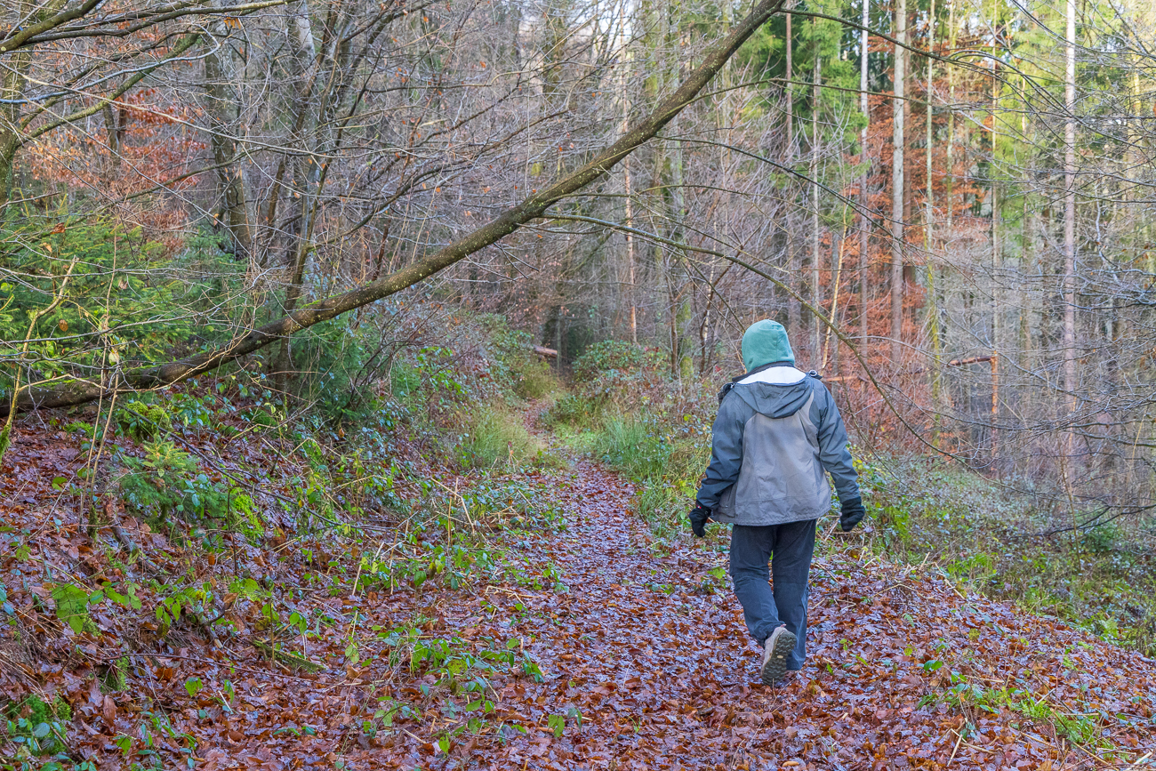 Nun geht es bergab zur Blies
