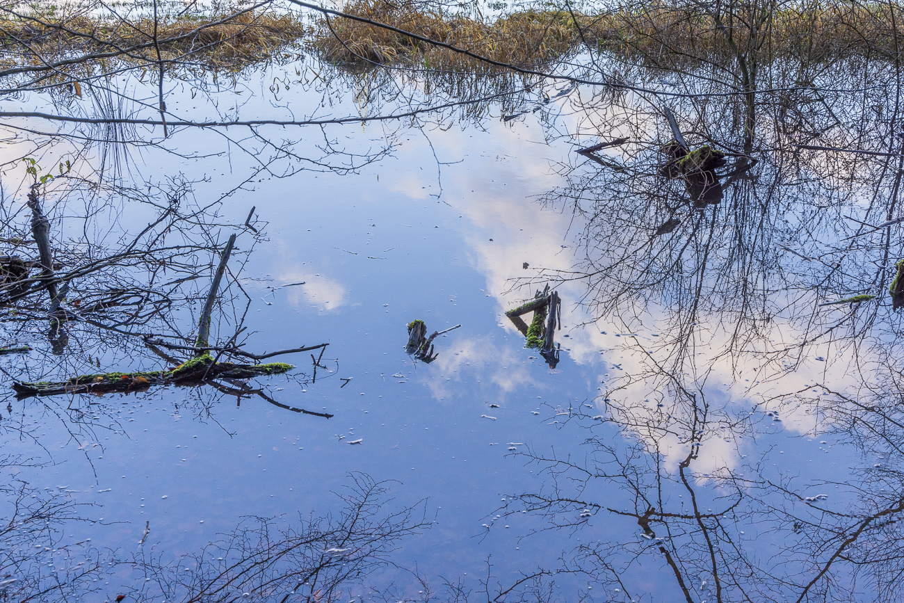 Spiegelung des Himmels im Hochwasser an der Blies