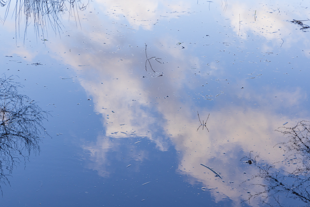 Spiegelung des Himmels im Hochwasser an der Blies