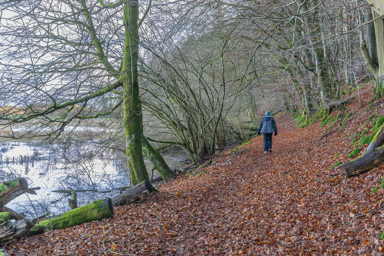 Wanderweg an der Blies entlang