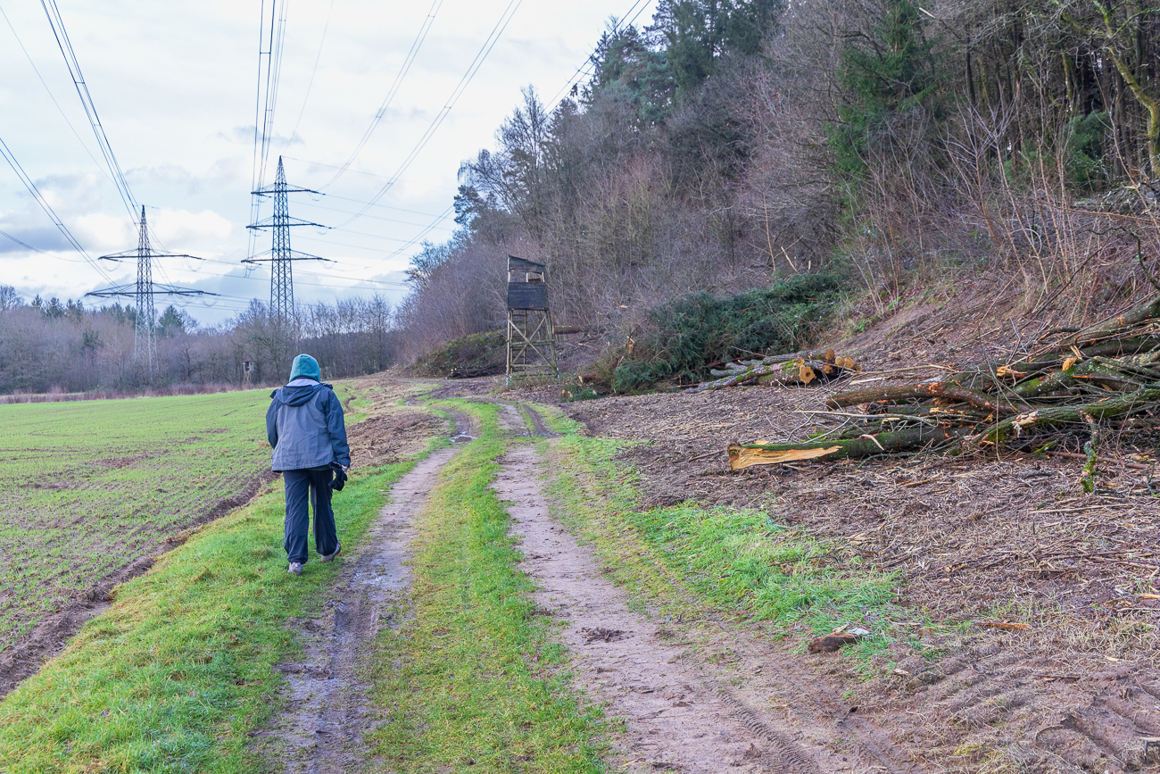 Auf dem Rückweg zum Auto