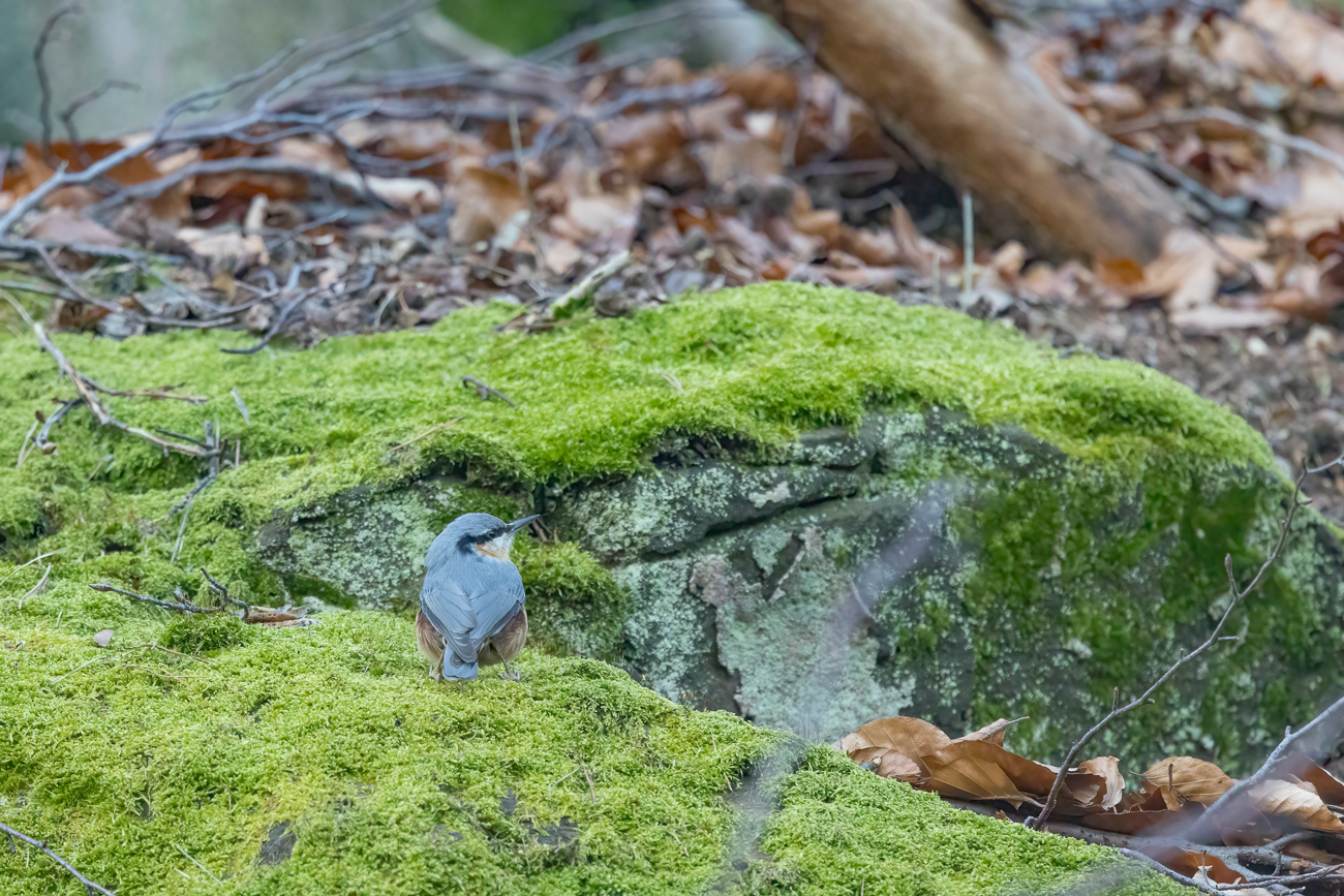 ... bevor wir weiter laufen