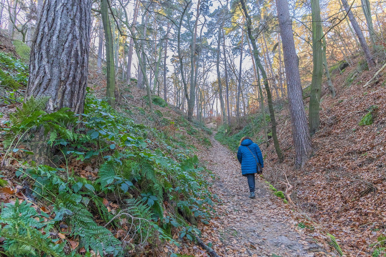 Hohle Gasse den Hügel hinauf