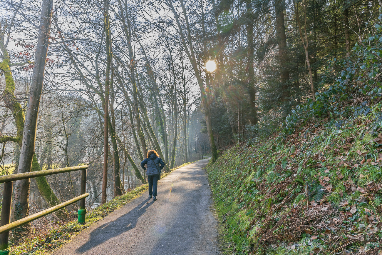 Der Wanderweg entlang der Würm ist zunächst asphaltiert