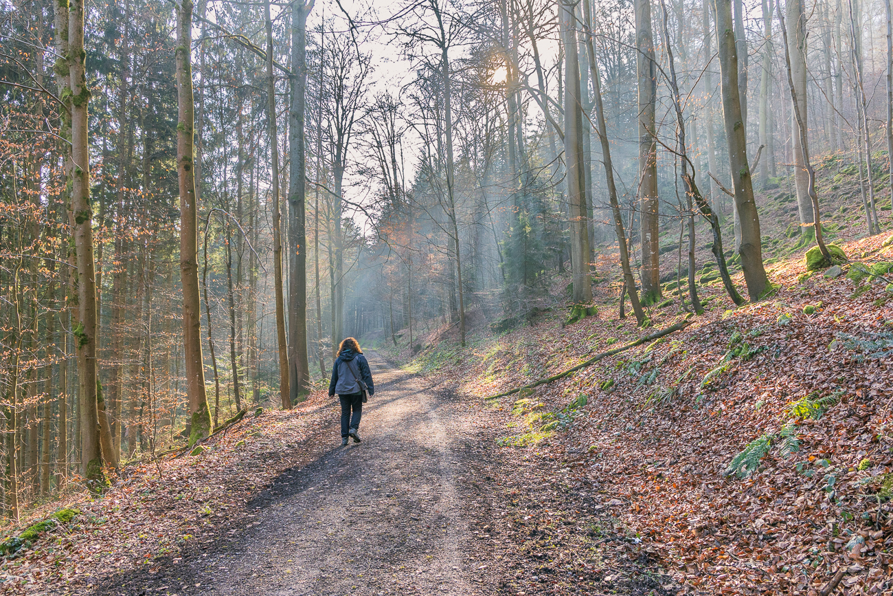 Etwas später geht er in einen befestigten Waldweg über