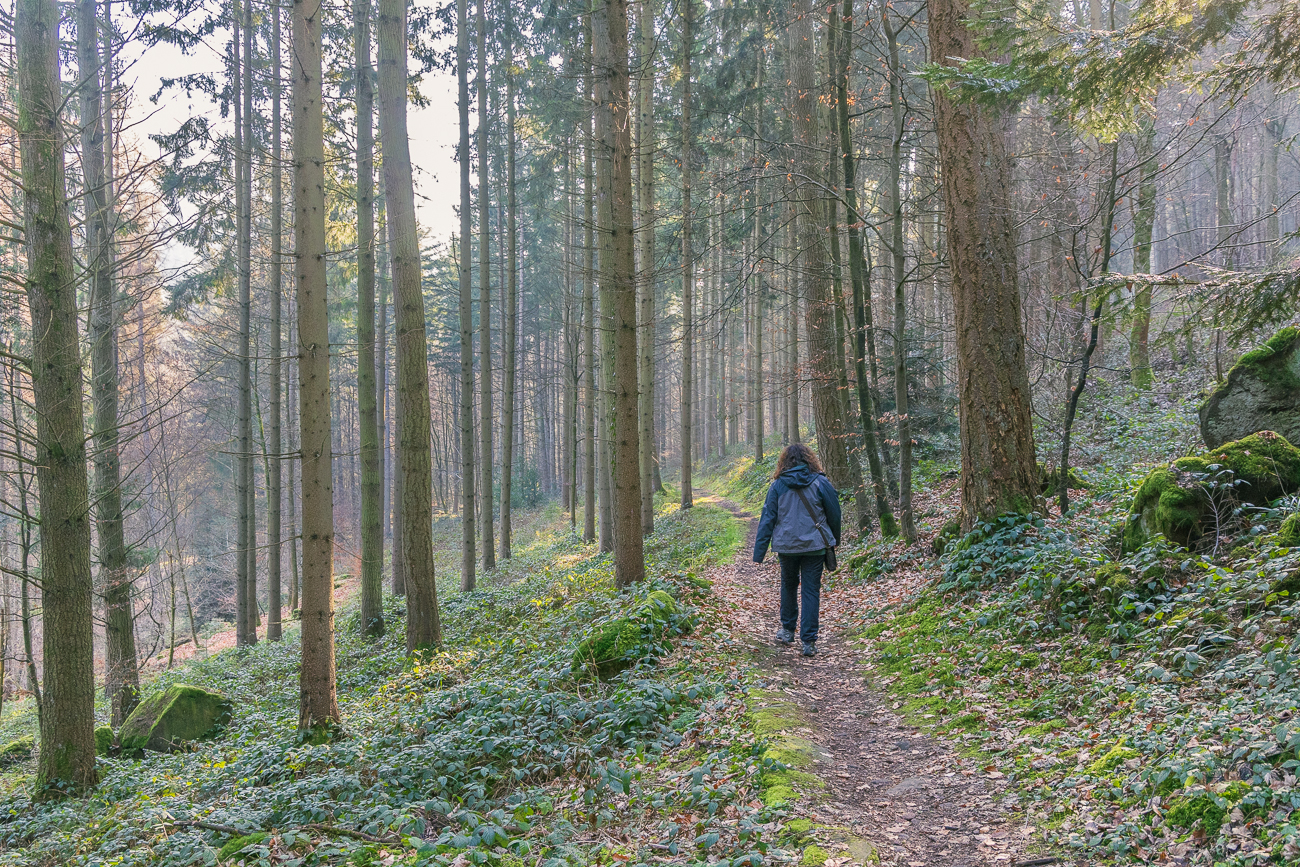 ... immer am Ufer der Würm entlang