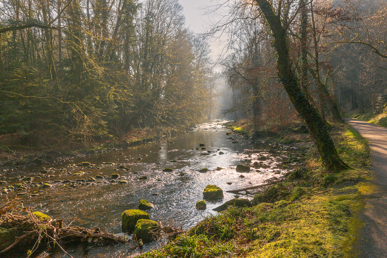 Hier ist die Würm nicht ganz so wild