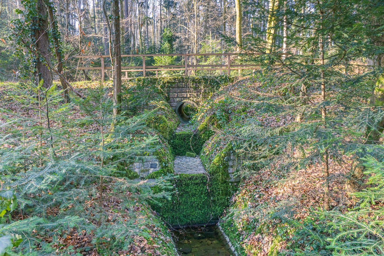 Würm Zufluss oder besser Zubach