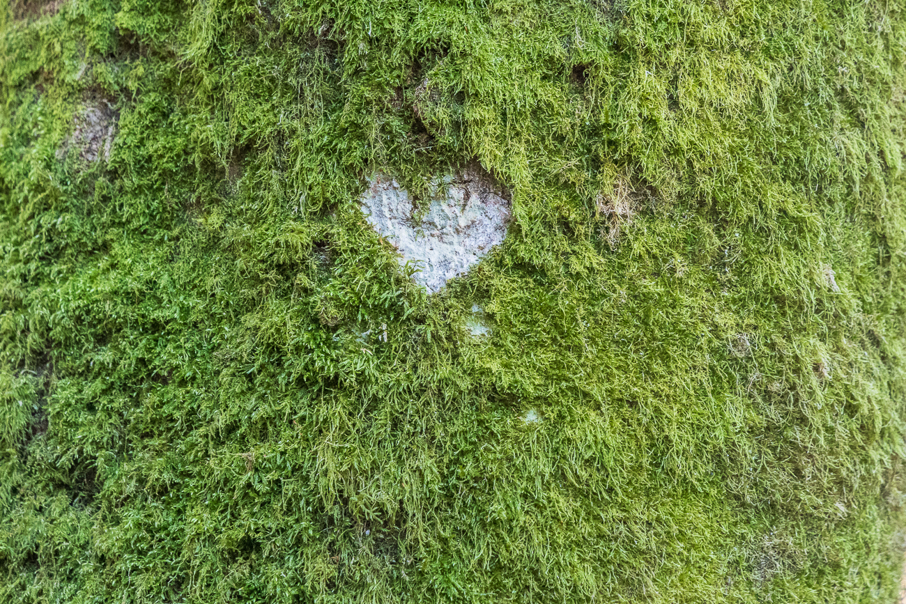 Valentinstag ist nicht mehr weit ;-)