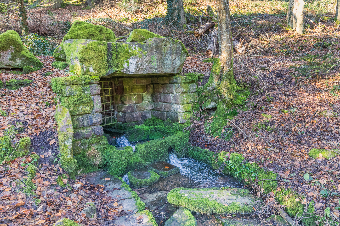 Glasbrunnen im Würmtal