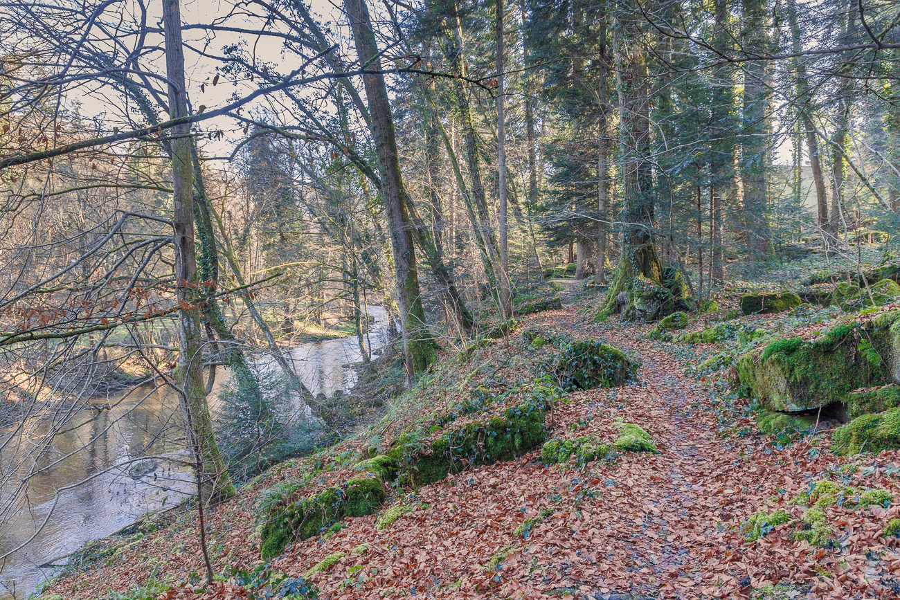 Idyllischer Uferpfad