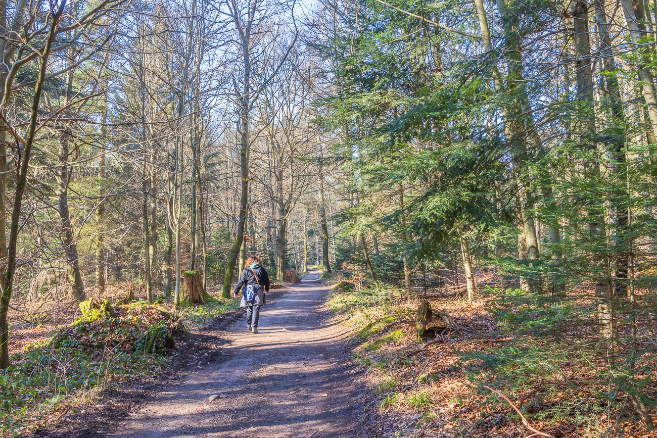Es geht weiter Richtung Wildpark