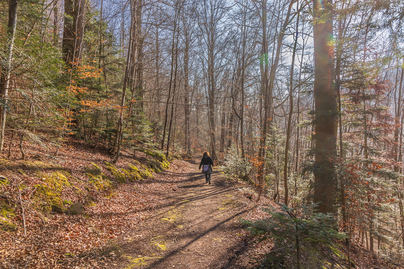 Auf dem Rückweg zum Parkplatz