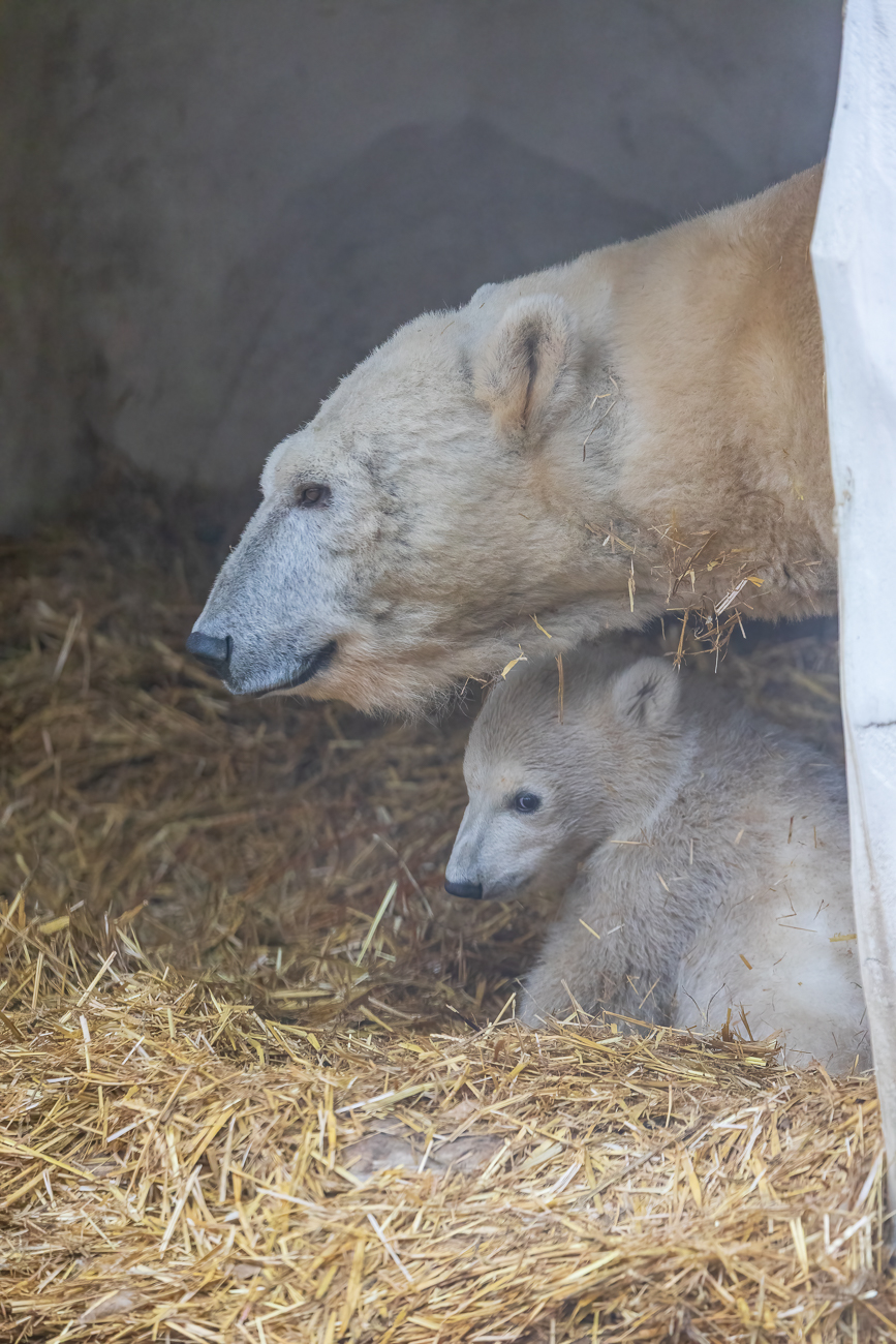 Schüchterner Blick ...