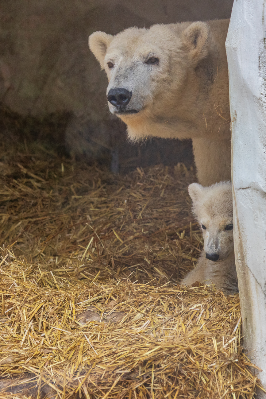 Doch wie alle Kinder ...