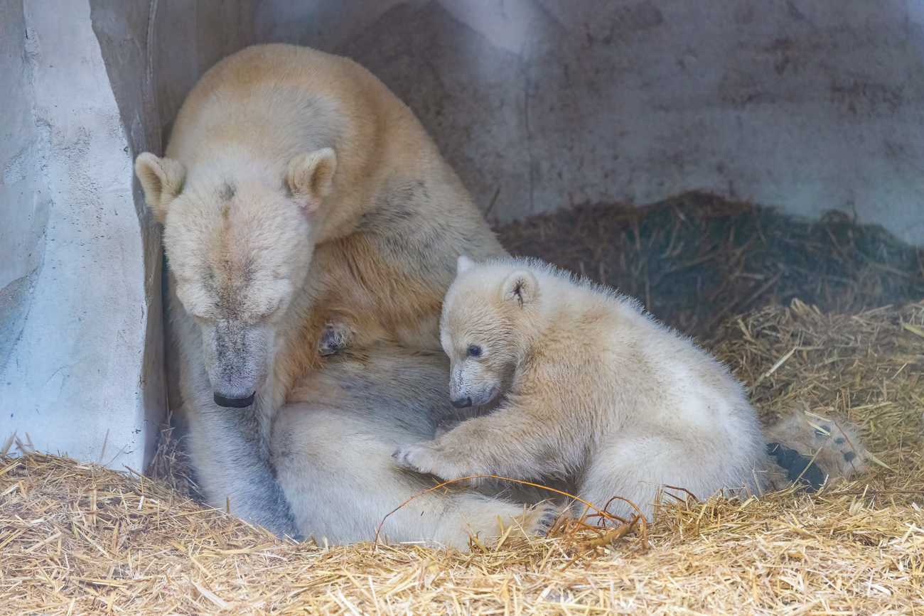 ... ist vor dem Spielen